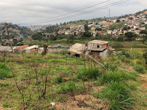 Imagem 14 de 16 de Terreno À Venda, 250 M² - Jardim Nossa Senhora Aparecida - Francisco Morato/sp - Te0034 - 67733520
