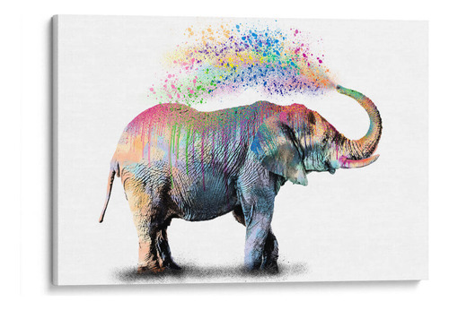 Canvas Lab Cuadro Elephant Color Shower 195x130, Hue Art