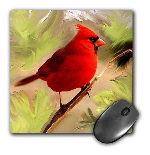 3drose Llc 8 x 8 x 0.25 inches Mouse Pad, Rojo Cardinal (