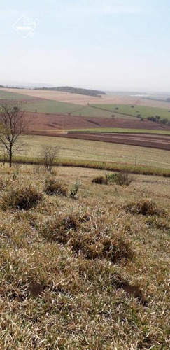 Chácara À Venda, 20.000 M² Ribeirão Preto/sp - Ch0053