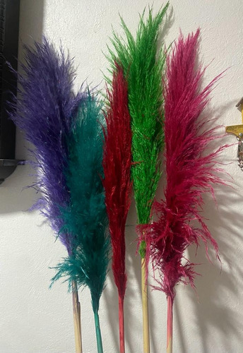 5 Pzas Pampas Frescas Decoración 1.2 Metros Colores