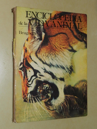 * Enciclopedia De La Vida Animal - Brughera - L058