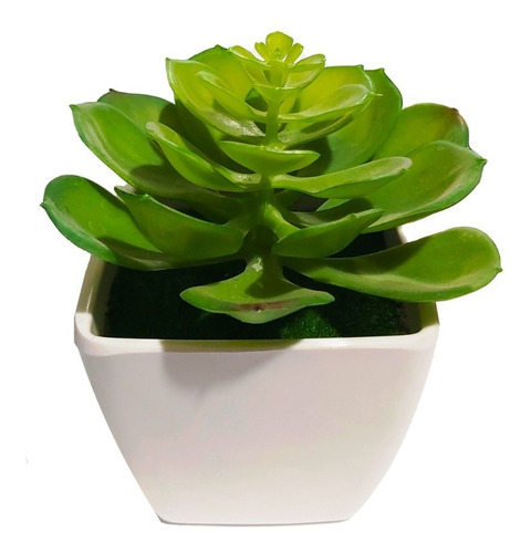 Cactus Maceta Planta Artificial 12 Cm Decoración Sheshu Home