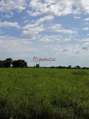 Imagem 13 de 19 de Fazenda Com 2.723 Mil Hectares No Vale Do Araguaia, Região Alvorada/araguaçu,to - Fa00021 - 69448081