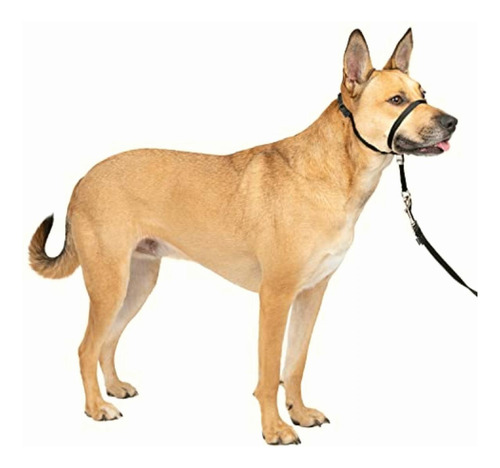 Petsafe Gentle Leader Collar Para Cabeza Con Dvd De