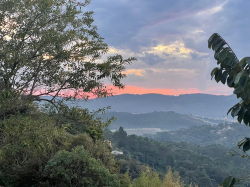 Imagem 12 de 12 de Chácara - Mairiporã