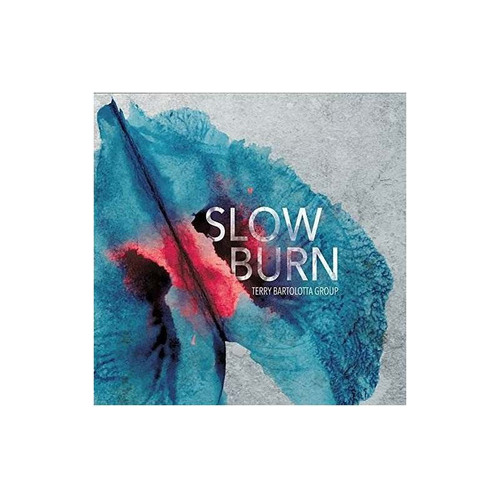 Bartolotta Terry Slow Burn Usa Import Cd Nuevo