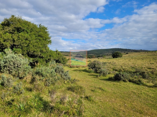 Imagen 7 de 25 de 20has De Campo Sobre Ruta 12 Pueblo Edén