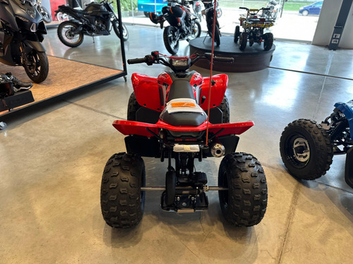 Cuatriciclo Cf Moto Cforce 110 Entrega Inmediata Sanzari