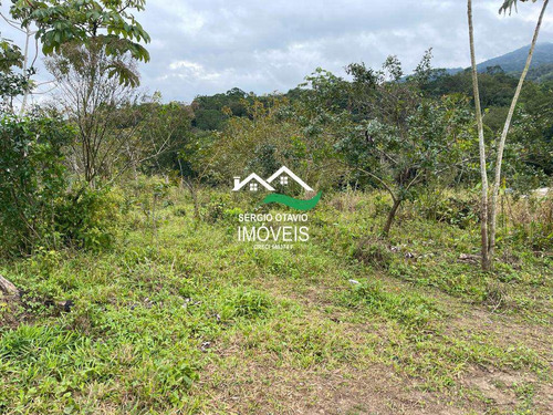 Imagem 3 de 4 de Chácara, Area Rural, Pedro De Toledo - R$ 50 Mil, Cod: 570 - V570