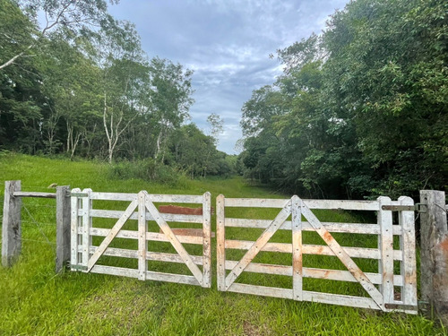 Vendo Chacra De 20 Ha Con Casa , Arroyo, Piletas Para Peses 