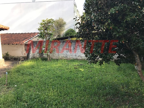 Imagem 12 de 19 de Terreno Em Horto Florestal - São Paulo, Sp - 309848