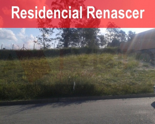 Imagem 1 de 3 de Terreno - 899 - 32401239
