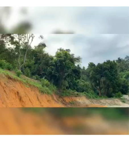 Imagem 10 de 12 de Venda De Sítio Com Ótima Oportunidade!