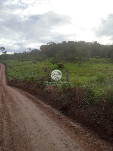 Imagem 4 de 9 de Venda Sítio Machadinho D'oeste Em Rondônia - Sia348