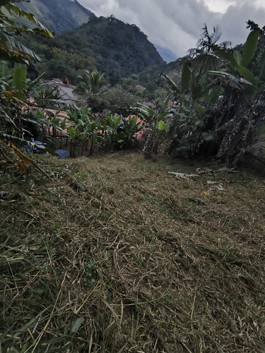 Lote São Romão A 5 Minutos Do Rio Macaé.22 988040087