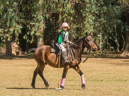 Imagen 8 de 9 de Barrio Privado - Ezeiza