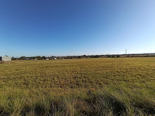 Terrenos En Libertador San Martín - Puiggari