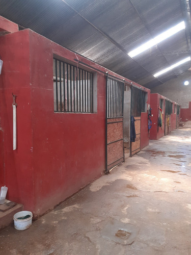 Stud En Venta - Maroñas Montevideo
