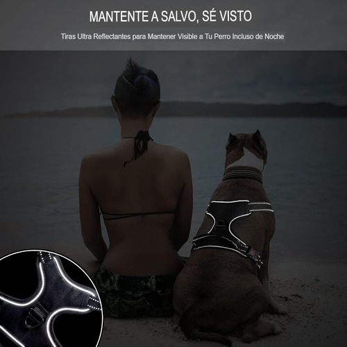 Arnes Para Perro Pechera Anti Tirones Reflectante Con Correa