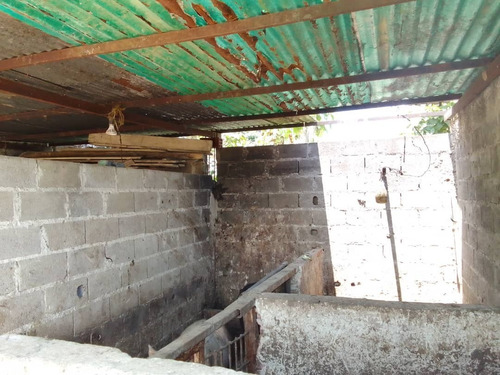 Imagen 19 de 27 de Best House Vende Terreno En Lagunetica Sant Omero