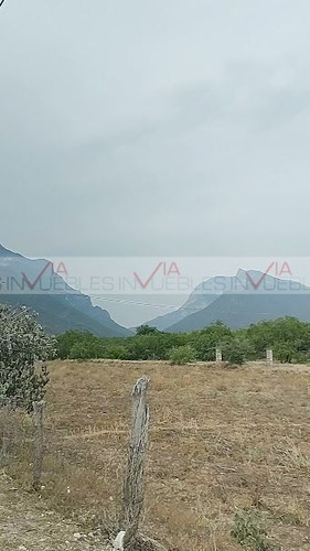 Bustamante