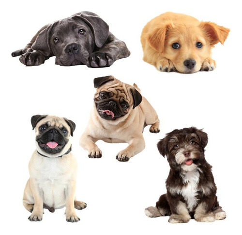 Pegatinas De Simulación 3d Para Perros Y Coches, Estilo 4, P