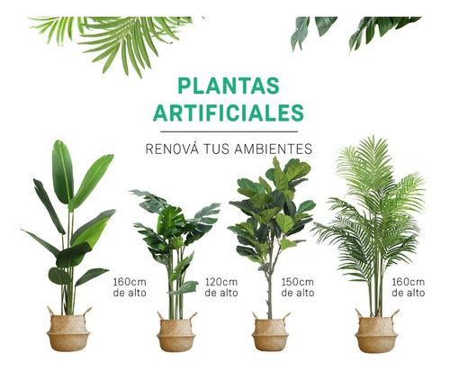 Planta Costilla De Adan Artificial Palmera Decoracion 120cm