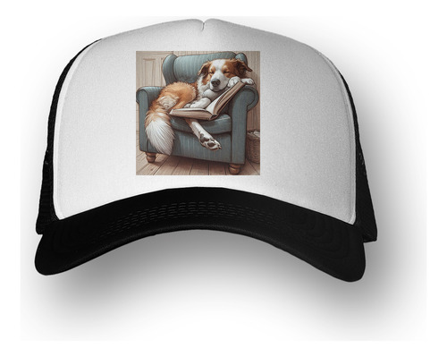 Gorra  Perro En Sillon Durmiendo Leyendo Libro