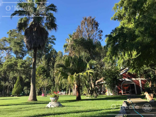 Quinta En Venta En Arturo Segui, La Plata Sobre Lote De 6000 M2