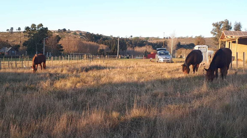 Imagen 4 de 6 de Lote En Tandil Zona Don Bosco 1100 M2 Listo Para Escriturar