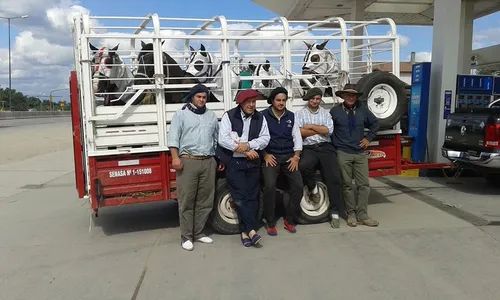Acoplado Jaula 3 Metros Carro Vaquero Trailer Desmontable