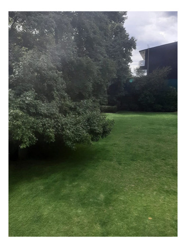 Imagen 9 de 12 de Extraordinario Terreno En Venta En Lomas De Chapultepec En