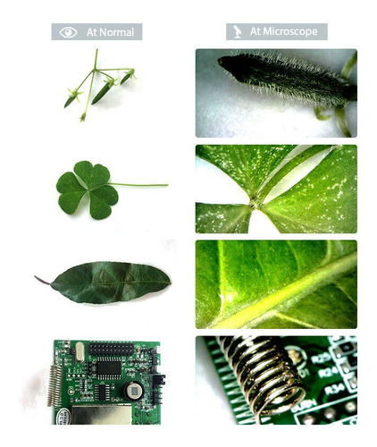 Imagen 6 de 10 de Mini Microscopio 1000x Digital 8 Led Usb