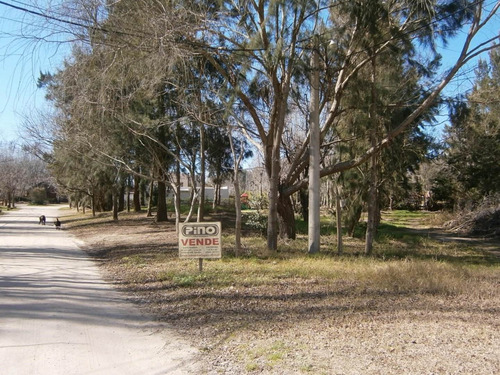 Imagen 2 de 9 de Paseo Del Bosque Manzana 160 Lote 20