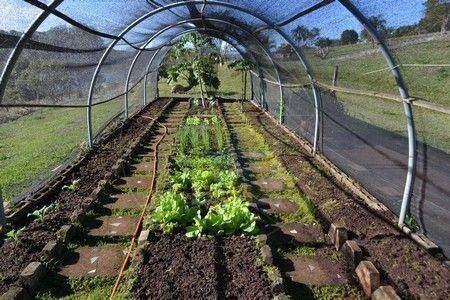 Imagem 18 de 30 de Sítio Com 4 Dormitórios, 15000 M² - Venda Por R$ 2.000.000,00 Ou Aluguel Por R$ 8.000,00/mês - Moenda - Joanópolis/sp - Si0145