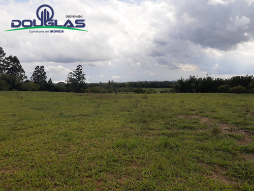 Lindo Sítio 2 Hectares Ótima Localização - 1535