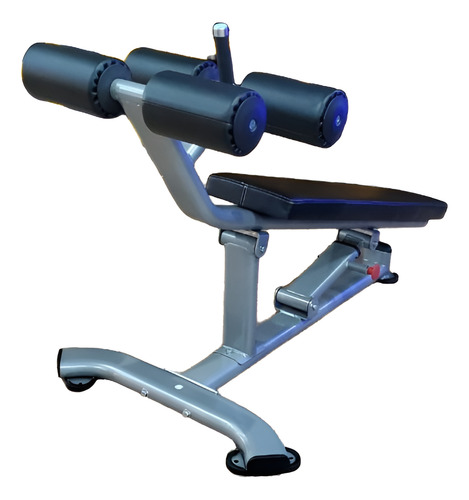 Banco Para Abdominales Premium Ovalado Gym / Gimnasio Msi