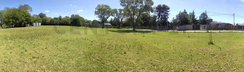 Imagen 2 de 8 de 15 Entre 90 Y 93 - Lote En Venta - Villa Elvira