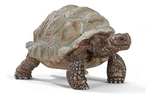 Figura Educativa De Tortuga Gigante De Vida Salvaje De Schle