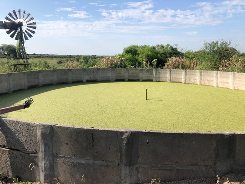 Campo En Santiago Del Estero Apto Para Explotación Ganadera (2200 Ha)