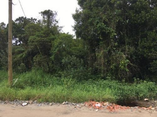 Terreno De Chácara À 1km Da Rodovia (mx)