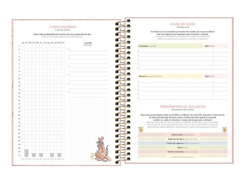 Agenda 2024 Tilibra Planner Semanal 177x240 Ursinho Pooh Rsa