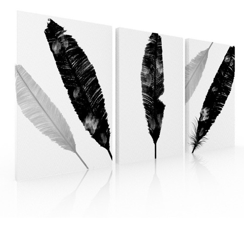 Set De 3 Cuadros Decorativos Modernos Plumas Negras