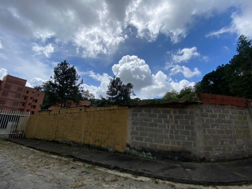 Imagen 2 de 9 de 153618 Yt. Se Vende Terreno En La Lagunita