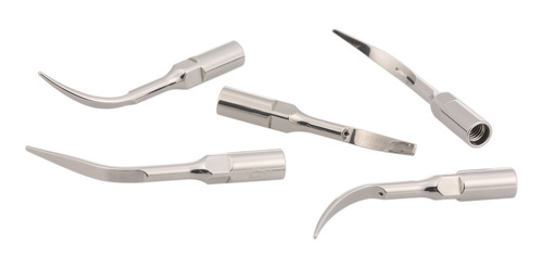 Imagen 4 de 8 de Pájaro Carpintero Consejos De Limpieza Dental Prio Escaler P