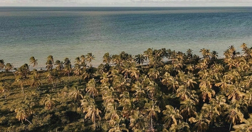 Imagen 2 de 16 de Lotes Con Casa Club En Telchac Puerto