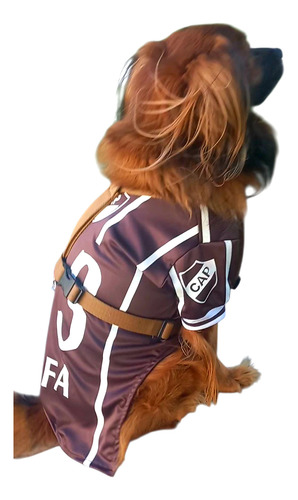 Camiseta Platense Para Perros A Medida Personalizada