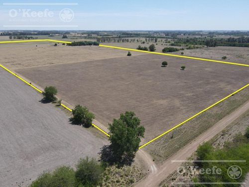 Campo En Venta De 50 Has En Carlos Keen - A 1 Hora De Caba