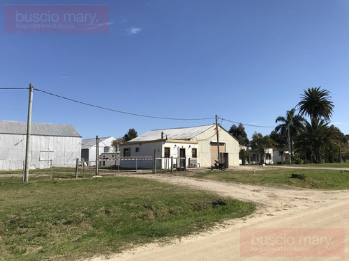 Imagen 4 de 30 de Local - Tarariras